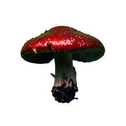 빨간 버섯 (영화적) — 256×256 픽셀 아트 스프라이트