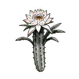 밤에 피는 세리우스 — 256×256 픽셀 아트 스프라이트