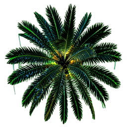 Oasis Palm (Cinematic) - 256x256 pixel art sprite