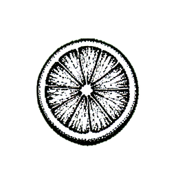 Orange (1-Bit) - 256x256 pixel art sprite