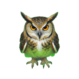 Owl Sage (Atmospheric) - 256x256 pixel art sprite