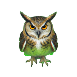 Owl Sage (Atmospheric) — 256×256 pixel art sprite