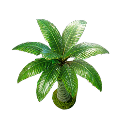 Palm Tree (HD-2D) - 256x256 pixel art sprite