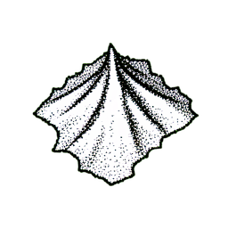 Sand Beach (1-Bit) - 256x256 pixel art sprite