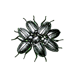 Scarab Swarm (1-Bit) - 256x256 pixel art sprite
