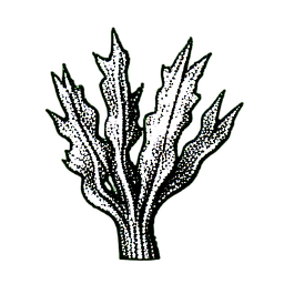 Seaweed (1-Bit) - 256x256 pixel art sprite