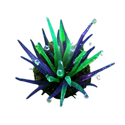 Seaweed (HD-2D) - 256x256 pixel art sprite