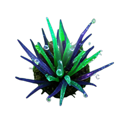 Seaweed (HD-2D) — 256×256 pixel art sprite