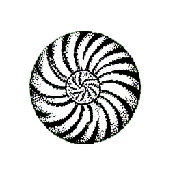 Shell (1-Bit) - 256x256 pixel art sprite