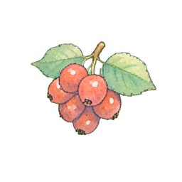 작은 관목 열매 — 256×256 픽셀 아트 스프라이트