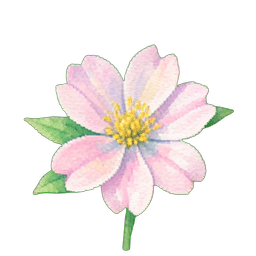 زهرة شجيرة الربيع — رسم بكسل 256×256