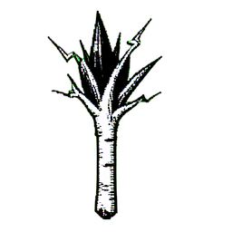 Storm Mage (1-Bit) - 256x256 pixel art sprite