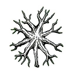 Treant (1-Bit) - 256x256 pixel art sprite