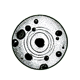 Water Shallow (1-Bit) - 256x256 pixel art sprite