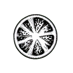 Watermelon (1-Bit) - 256x256 pixel art sprite