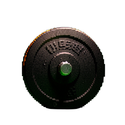 Weight Plate Olympic — 256×256 pixel art sprite