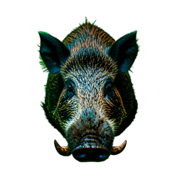 Wild Boar (Cinematic) - 256x256 pixel art sprite