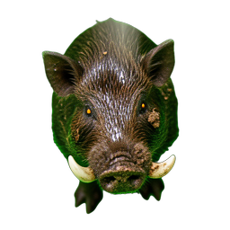 Wild Boar (HD-2D) - 256x256 pixel art sprite