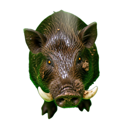 Sanglier (HD-2D) — sprite pixel art 256×256