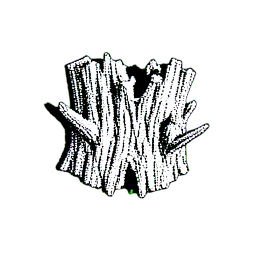 Bouclier en bois (1-bit) — sprite pixel art 256×256