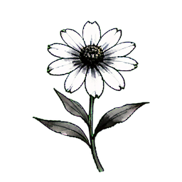Zinnia Mixed — 256×256 pixel art sprite