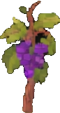Vineyard Prop C - 86x162 pixel art sprite