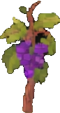 Objeto de viñedo C — sprite pixel art 86×162