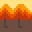 Autumn Forest