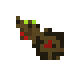 Araignée de la Jungle