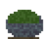 Bloque de musgo