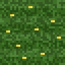 Garden Grass