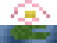 Flor de Lótus
