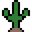 Desert Cactus