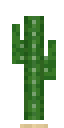 Cactus alto