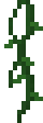 Hanging Vine
