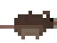 Dungeon Rat
