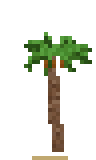Palmera Egipcia