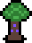 Enchanted Tree