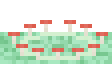 Fairy Ring