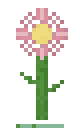 Flor Gigante
