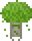 Hongo Venenoso