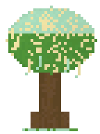 Wishing Tree