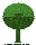 Apple Tree