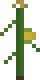 Corn Stalk