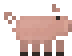 Farm Pig