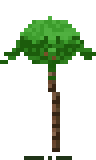 Palmera