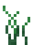Seaweed