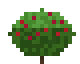 Berry Bush