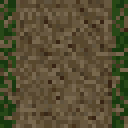 Forest Dirt Path