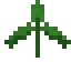Forest Fern